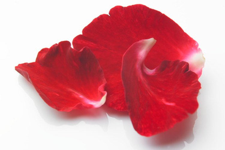 Originalmente, los pétalos de flores eran utilizados para repeler espíritus malignos.