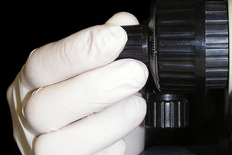Los químicos forenses analizan las evidencias.