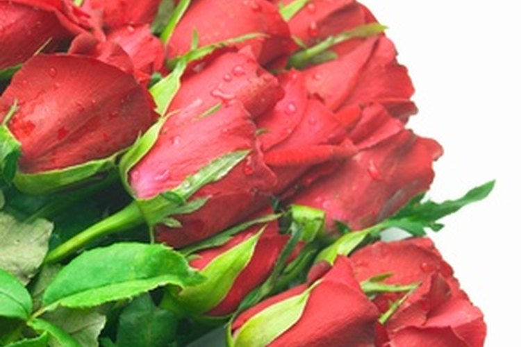 Las rosas rojas son un símbolo de amor.