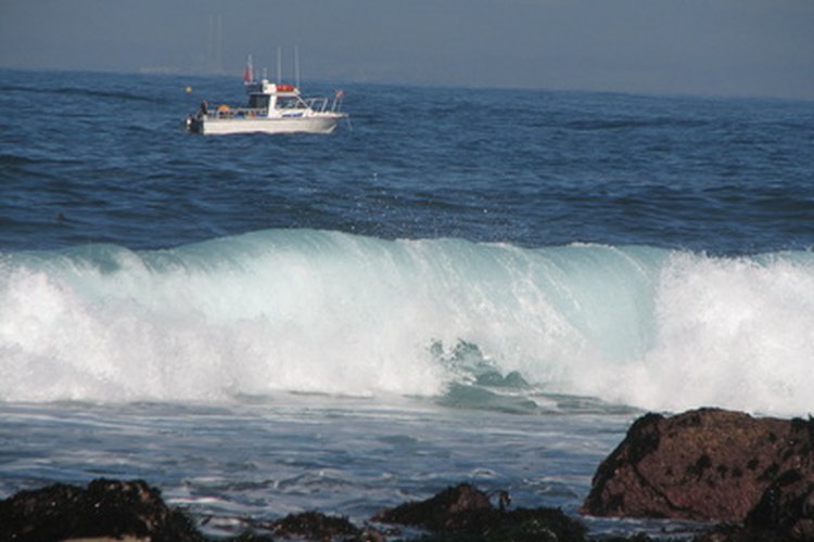 Olas.