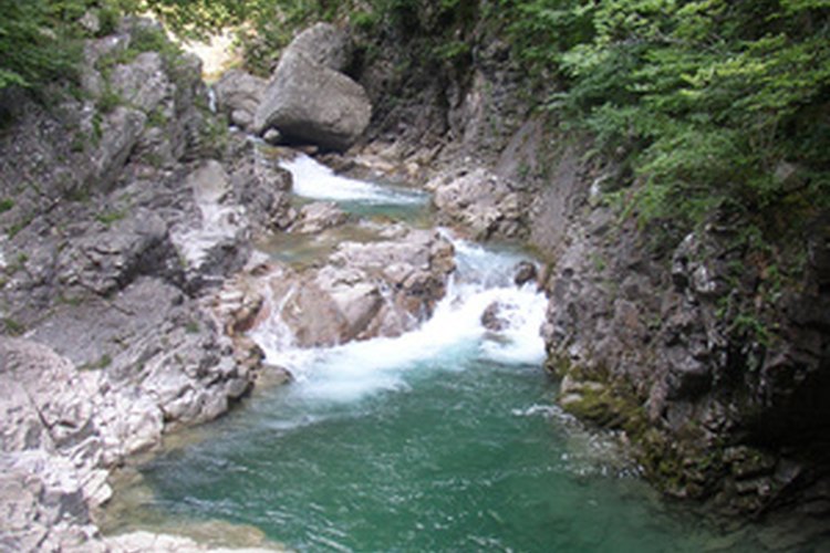 Las lombrices del orden de Lumbriculida habitan cerca de agua dulce.