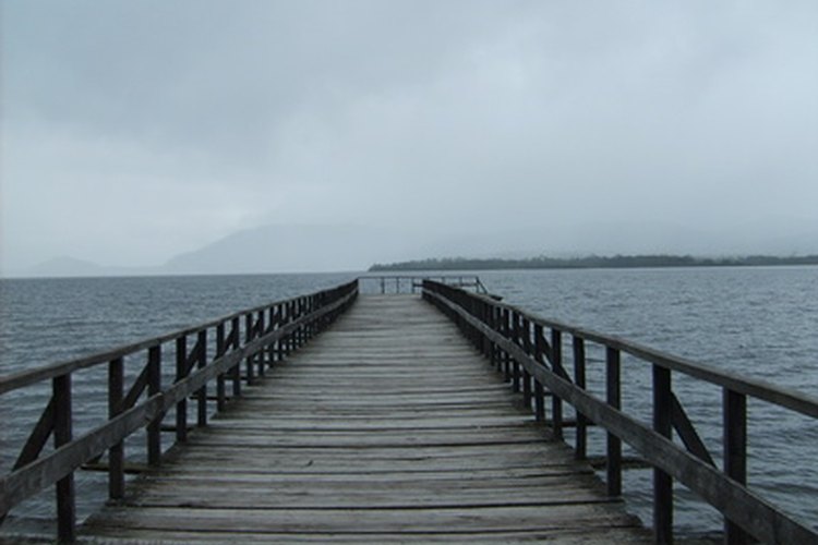 El tipo de madera elegida para la construcción de un muelle influye directamente en la longevidad de la plataforma y su capacidad para resistir la constante interacción con los elementos.