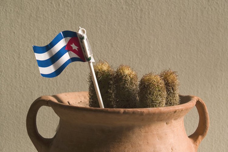 Algunos decorados sencillos ayudarán a crear un buen clima en tu fiesta de temática cubana.
