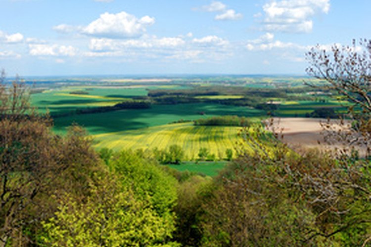 Los ecólogos del paisaje estudian las interacciones de las especies en un paisaje diverso.