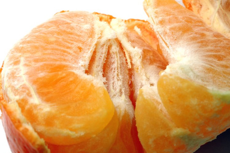 Recoge las semillas de una fruta de mandarina madura.