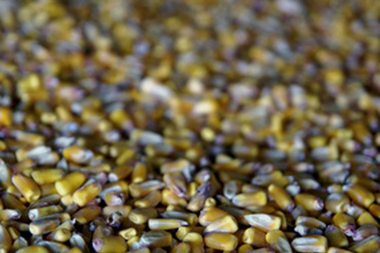 Los granos son alimentos sanos.