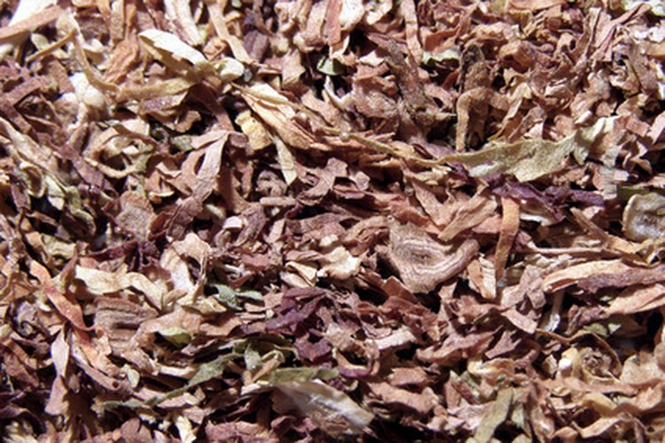 El tabaco es comercialmente cultivado y secado por su nicotina.