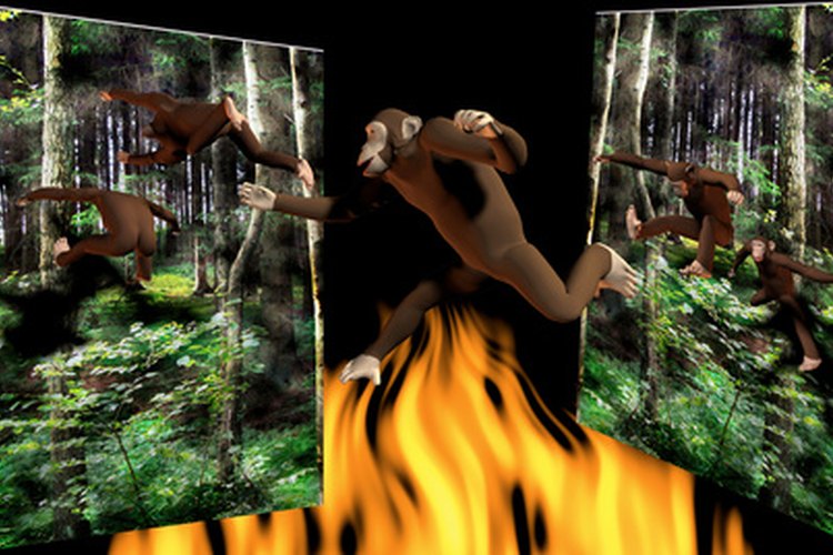 Miles de especies de flora y fauna se han perdido por la deforestación del hombre en la selva amazónica.