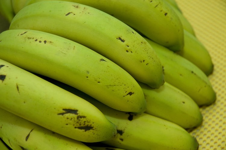 Los plátanos verdes en ocasiones necesitan ayuda para madurar más rápidamente.