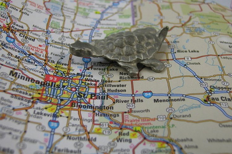 Muchas culturas creían que la tortuga estaba en el centro del universo.