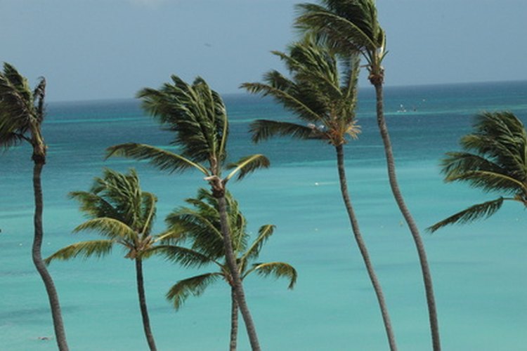 Aruba es parte del Reino de los Países Bajos.