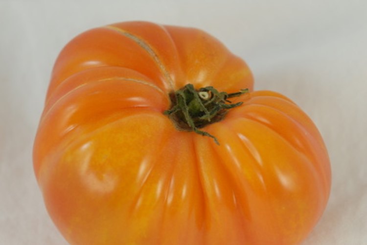 Algunas variedades tradicionales, tal como este tomate, tienen un aspecto único.