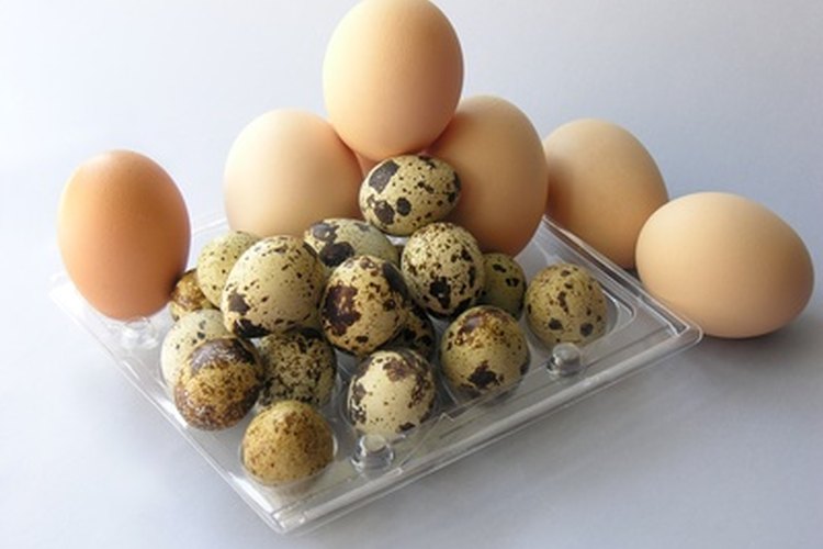 Incluso si no puedes comer huevos, aún puedes comer panqueques.