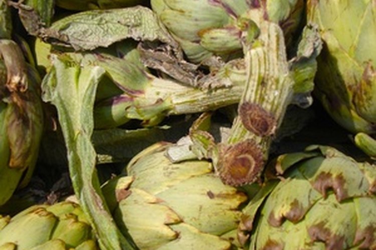 Las hojas de alcaucil quedan mejor con salsas a base de mantequilla y mayonesa.