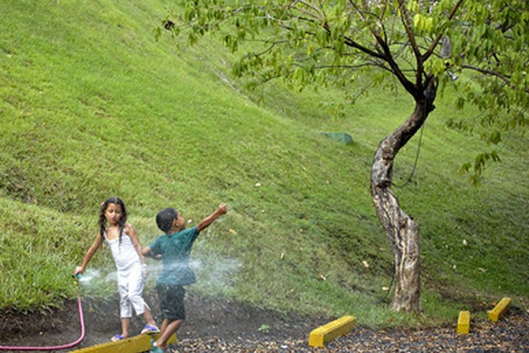 Niños en el parque.
