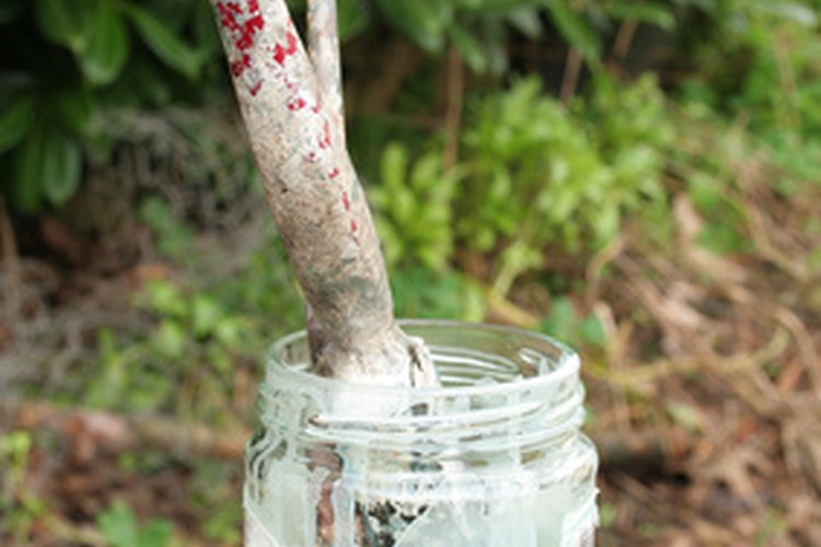 Limpia los pinceles utilizados para pintar con pintura al látex con agua y jabón.