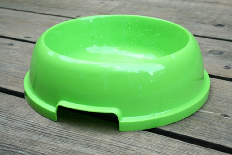 Recipiente para perros de plástico.