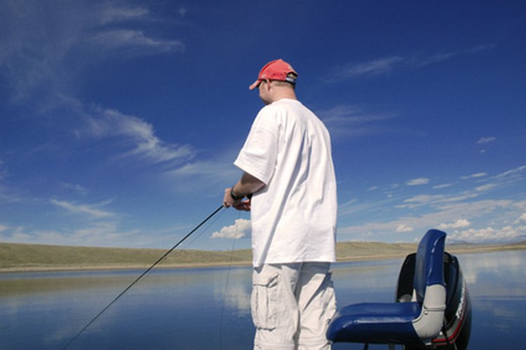 Aunque algunos pescadores de caña las consideran de poco valor, las amia calvas son peces que generan peleas duras.