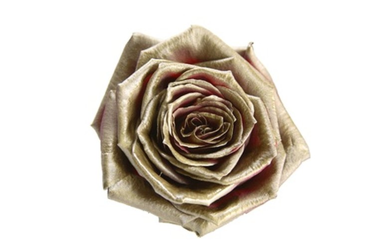La rosa dorada es el símbolo de la casa Lancome.