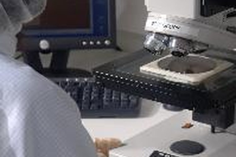 Asistentes de investigación graduados.