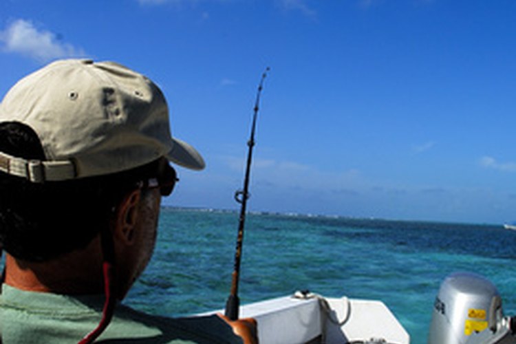 El róbalo rayado se puede pescar desde un bote, la orilla o el oleaje.