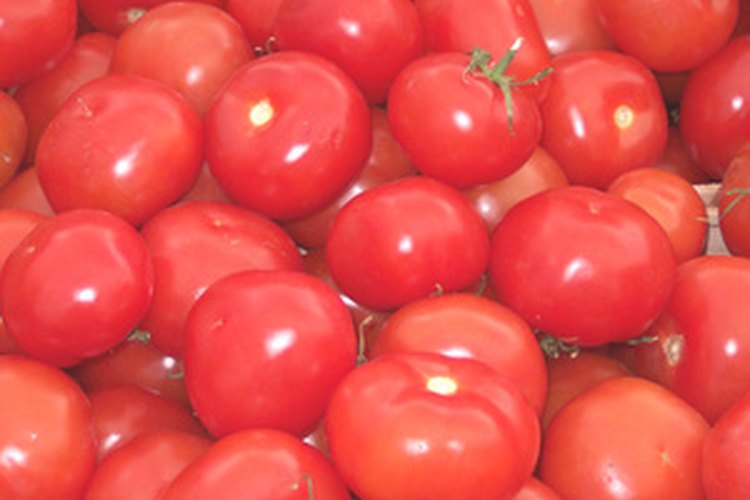 Los tomates serán más fructíferos si se plantan en el suelo adecuado.
