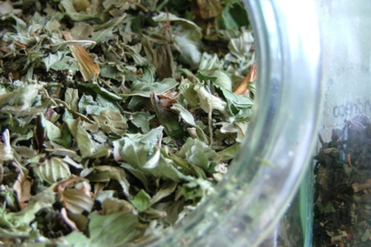 El té verde puede aliviar el cuero cabelludo quemado por el sol.
