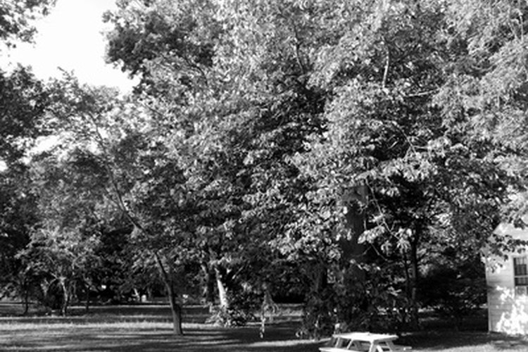 Lleva a tu amada a un picnic romántico y desnuda tu alma.