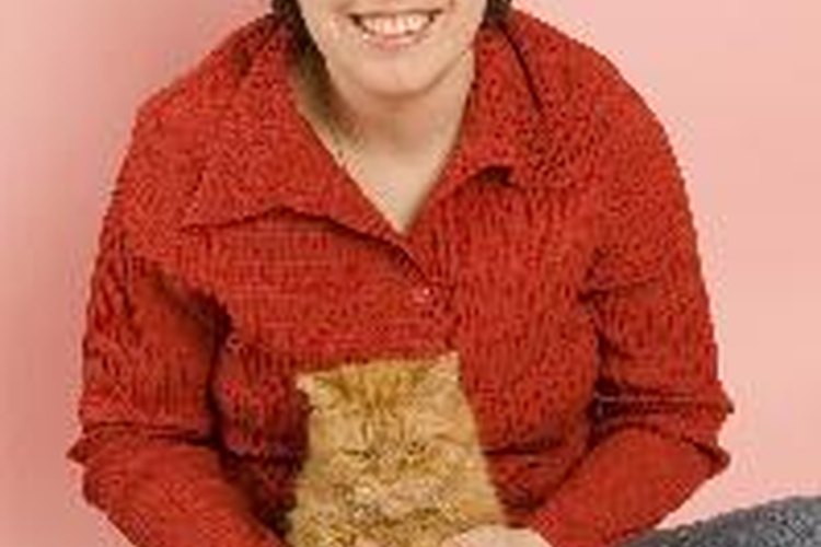 Interactuar con tu gato todos los días te ayuda a descubrir heridas desde el principio.