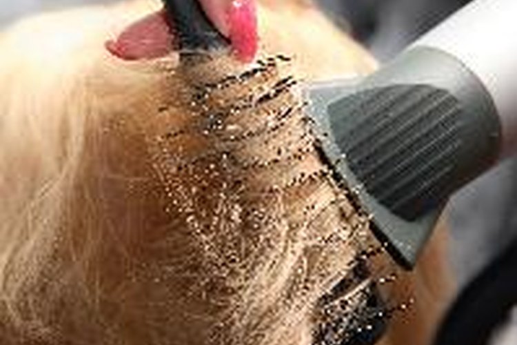 Elije un peluquero profesional para que mantenga tu cabello.