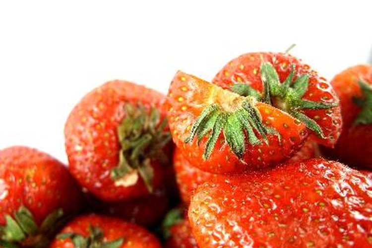 Conoce los distintos tipos de plantas de frutillas.