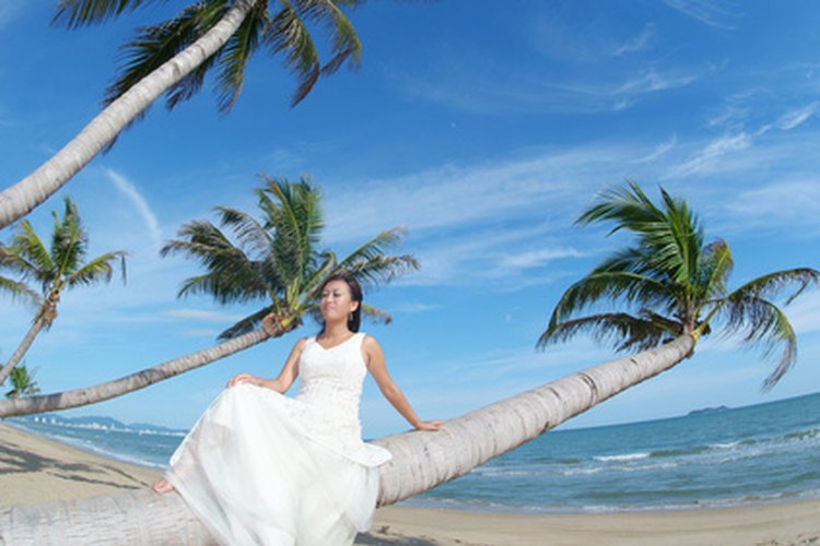 Florida te ofrece lugares únicos para una fotografía de boda.