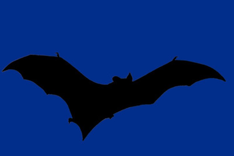 Haz un pastel diferente, un pastel de Batman.