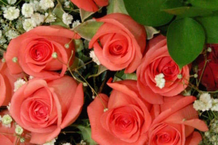 Crea ramos fabulosos como los de los floristas profesionales.