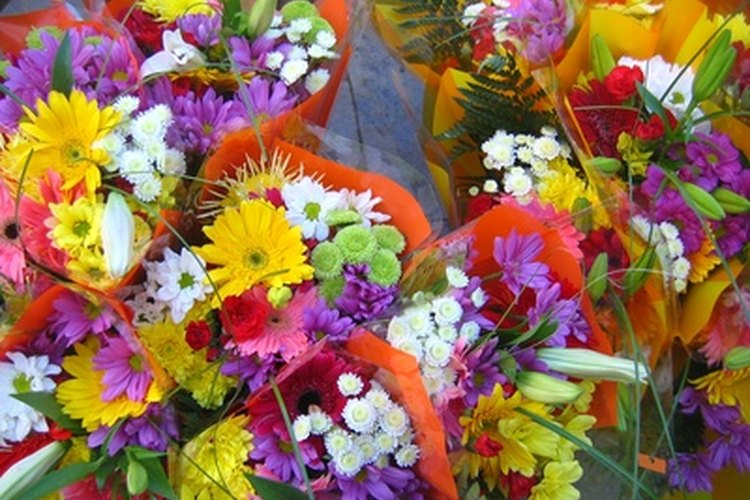 Conoce los tipos de flores italianas.