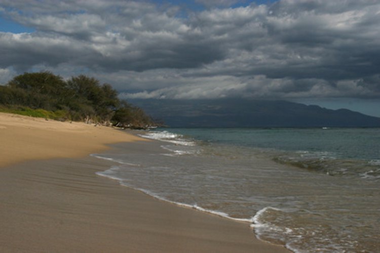 El aislamiento de Hawaii permitió que se dieran especies de animales y plantas únicas.