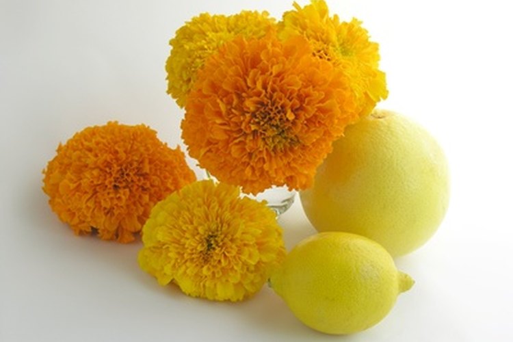 El limón ayudará a prolongar la vida de la flor cortada.