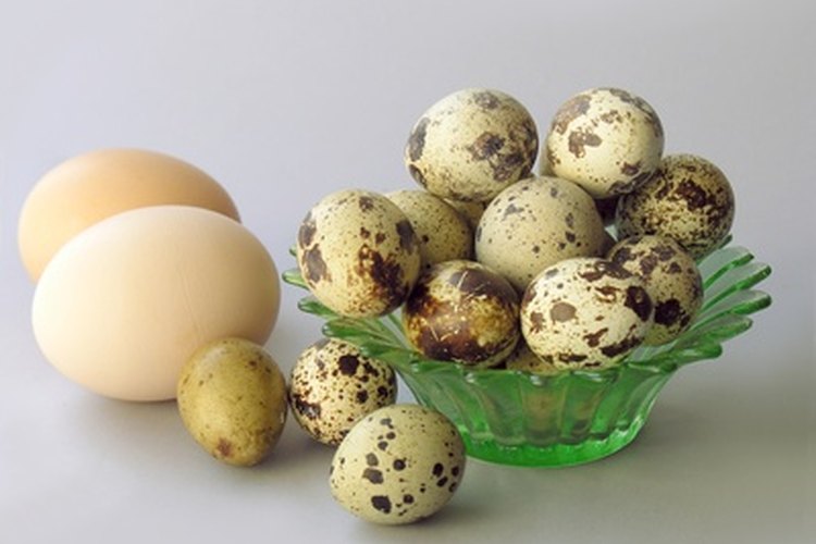 Los huevos son bajos en purinas y ricos en proteínas.