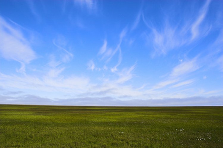 La escarcha permanente subyace en muchos de los ecosistemas de la tundra ártica del mundo.