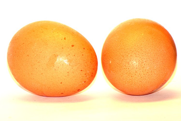 Los huevos crudos mejoran el pelo de los perros.