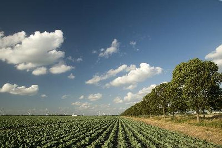 Hay una larga historia de uso de productos químicos para el control de plagas en la agricultura.