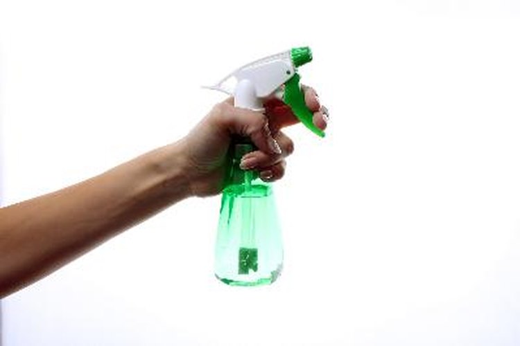Rocía la solución de agua con oxígeno blanqueador sobre los hongos y el moho.