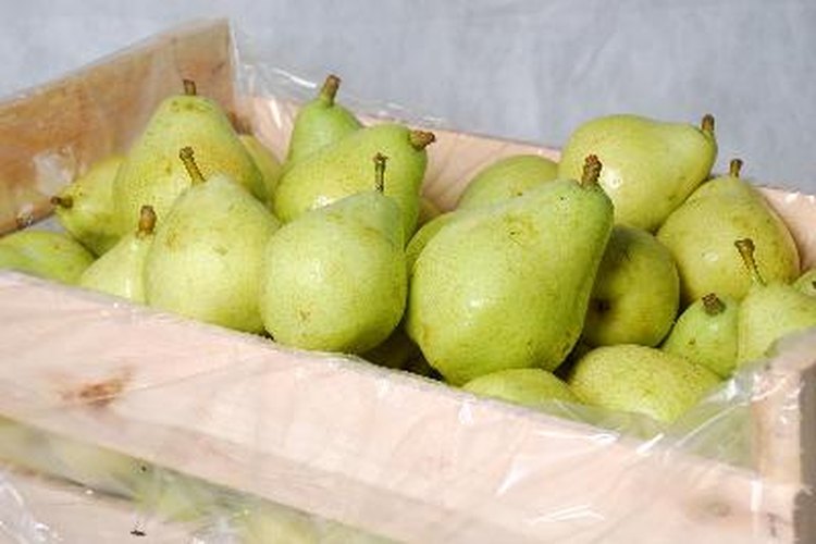 En el mercado de productos frescos, compra algunos kiwis, papayas y piñas y deja que las enzimas trabajen.