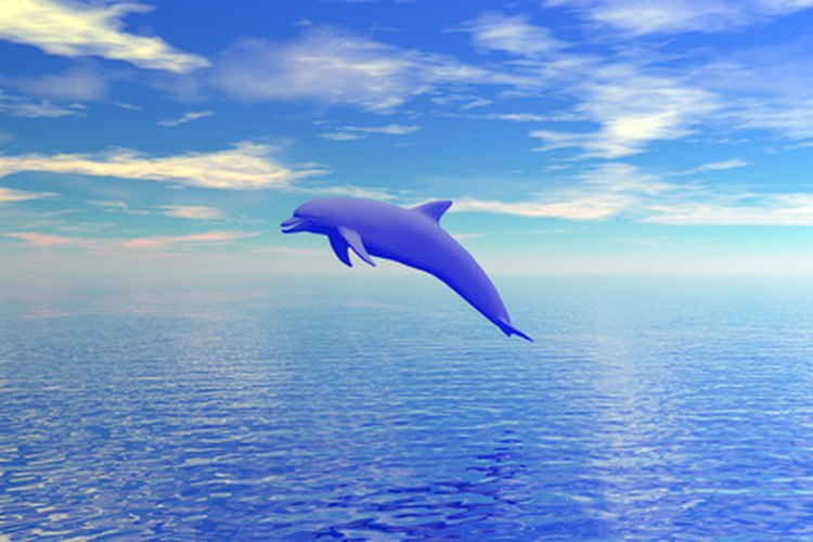 Science Daily reporta que las actividades pesqueras impiden el desarrollo de la población de delfines.