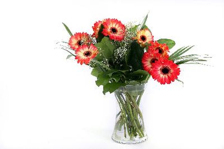 Disfruta de flores frescas.