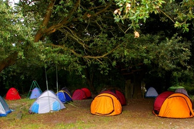 Planea una variedad de actividades para el campamento de verano de niños.