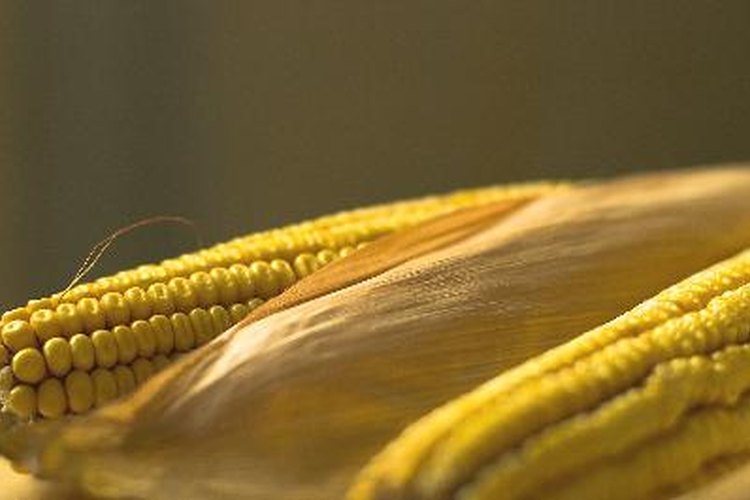 Fertilizante para el maíz.