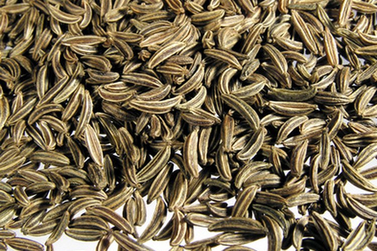 Mezcla semillas de alcaravea o apio con quesos suaves para preparar recetas saladas.