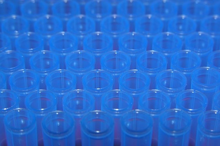 La electroforesis se ejecuta en gel de agarosa, entre otros geles.