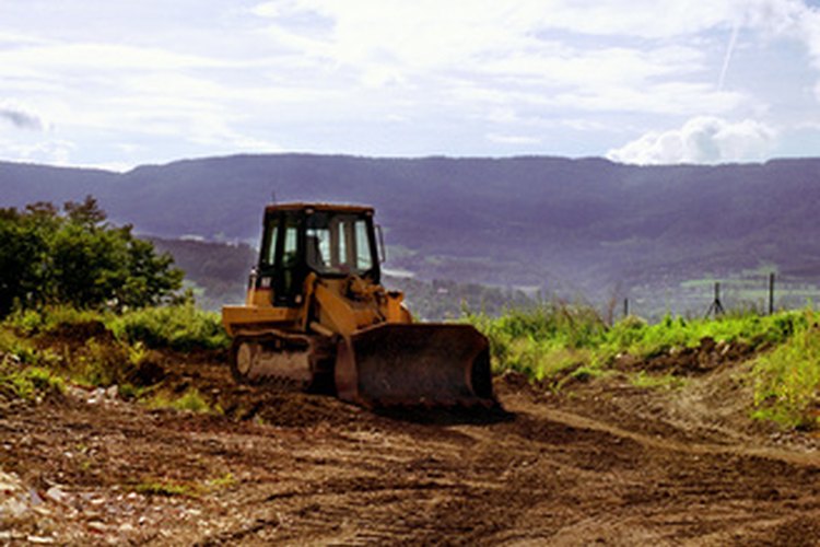 La deforestación se realiza en nombre de la agricultura, la explotación forestal y la urbanización.